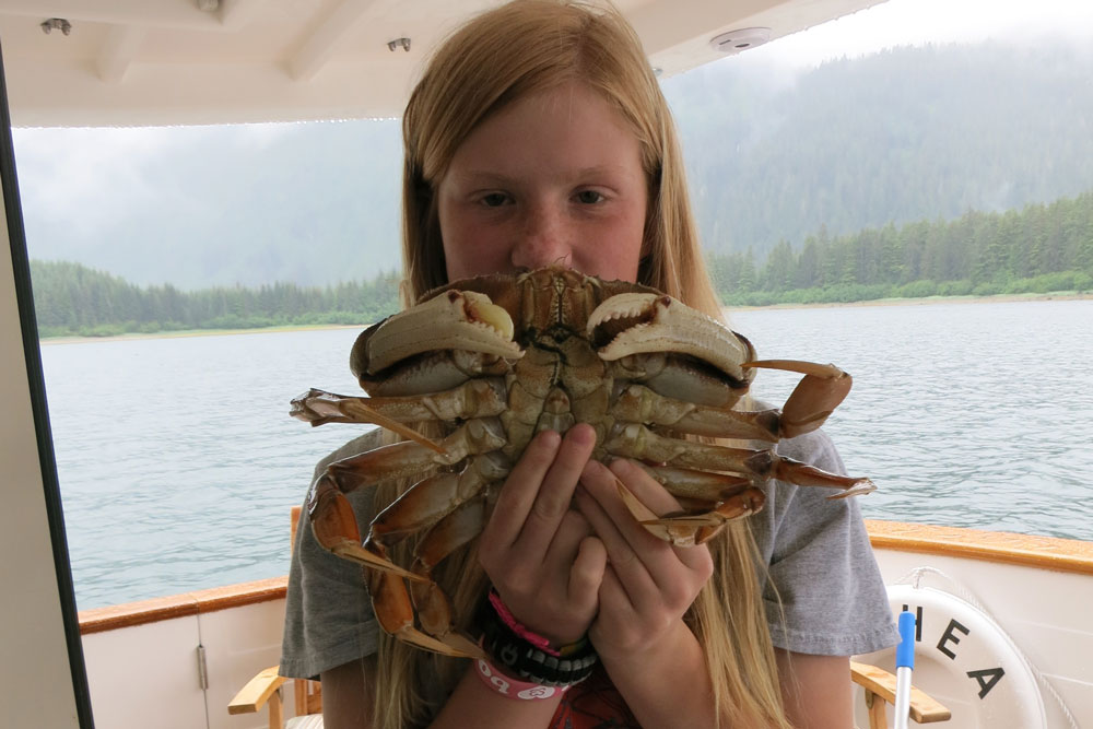 Alaskan-Summer-image